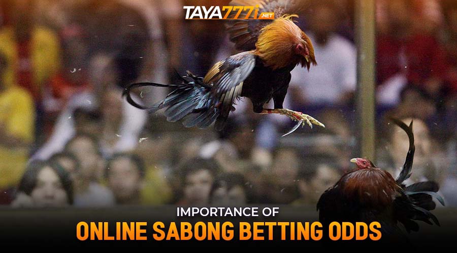 Importance of Online Sabong Betting Odds