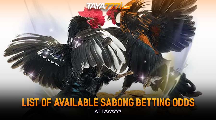 List of Available Sabong Betting Odds at Taya777