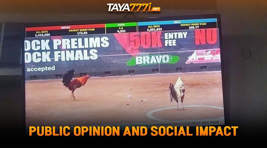 Public Opinion and Social Impact