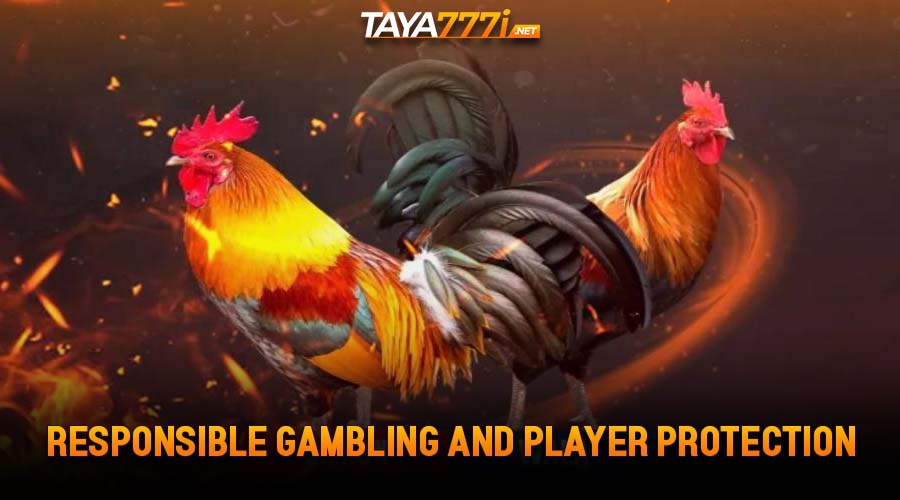 Responsible Gambling and Player Protection